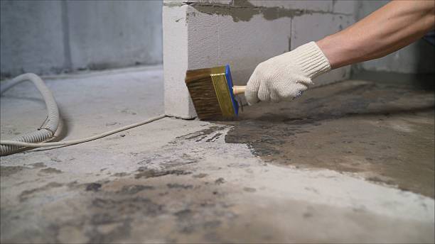 24/7 Emergency Interior Drainage System experts in Mulliken, MI